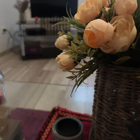 Deea Apartament * كرايوفا