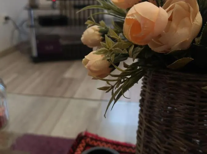 Deea Apartament * كرايوفا