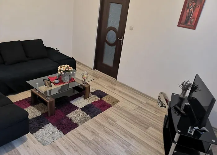 شقة Deea Apartament كرايوفا